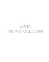 Шины Continental 215/60 r17 ContiEcoContact 7 96H