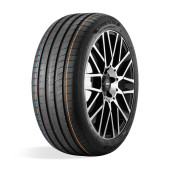 Шины GoodYear  255/50/19  T 107 EAG. F-1 ASYMMETRIC 6 ST  XL