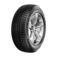 Шины Nexen  195/55/16  T 91 Winguard Ice  XL